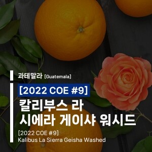 [2022 COE #9] 칼리부스 라 시에라 게이샤 워시드