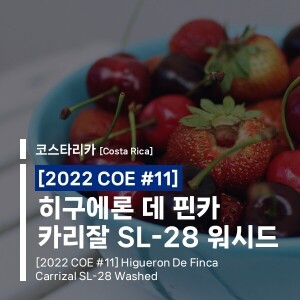 [2022 COE #11] 히구에론 데 핀카 카리잘 SL-28 워시드